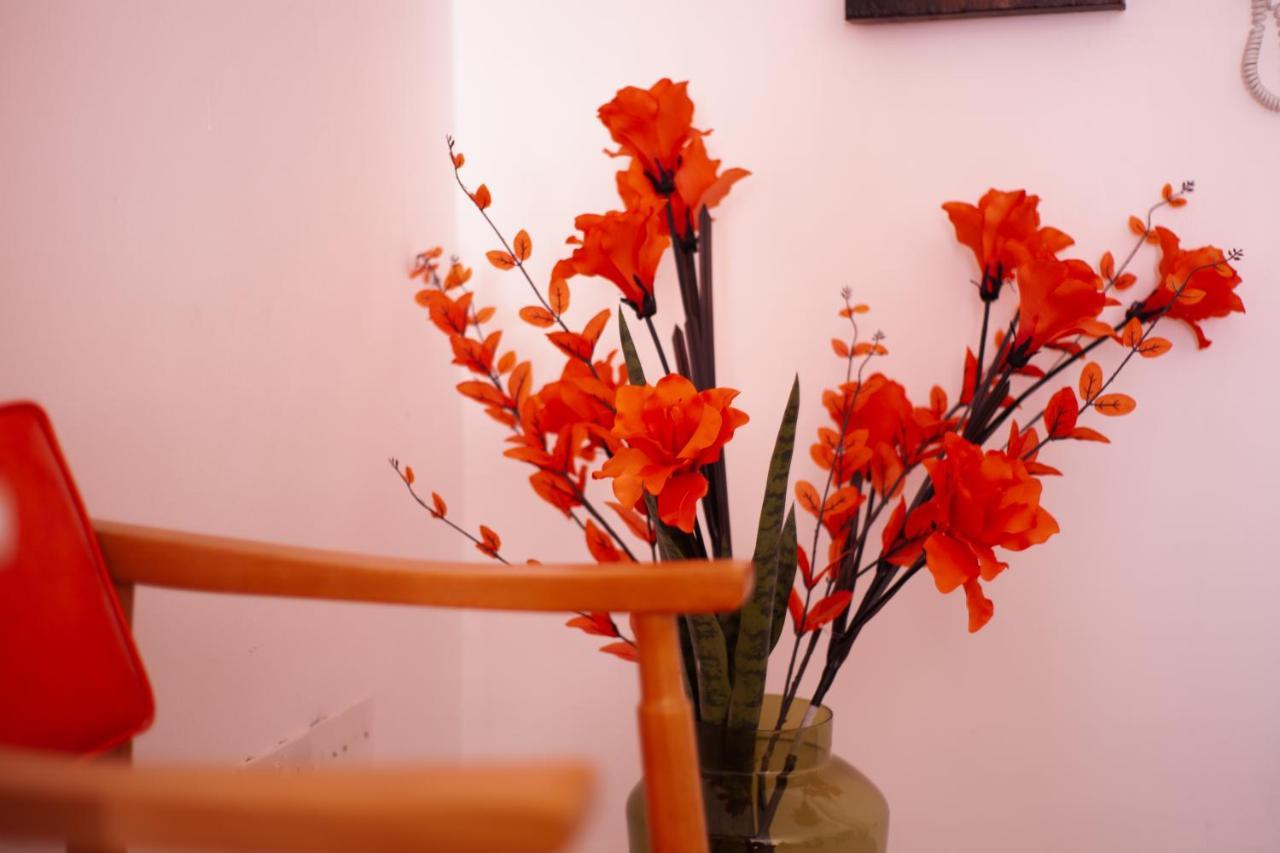 Violetta Apartment บีร์เซบบูจา ภายนอก รูปภาพ